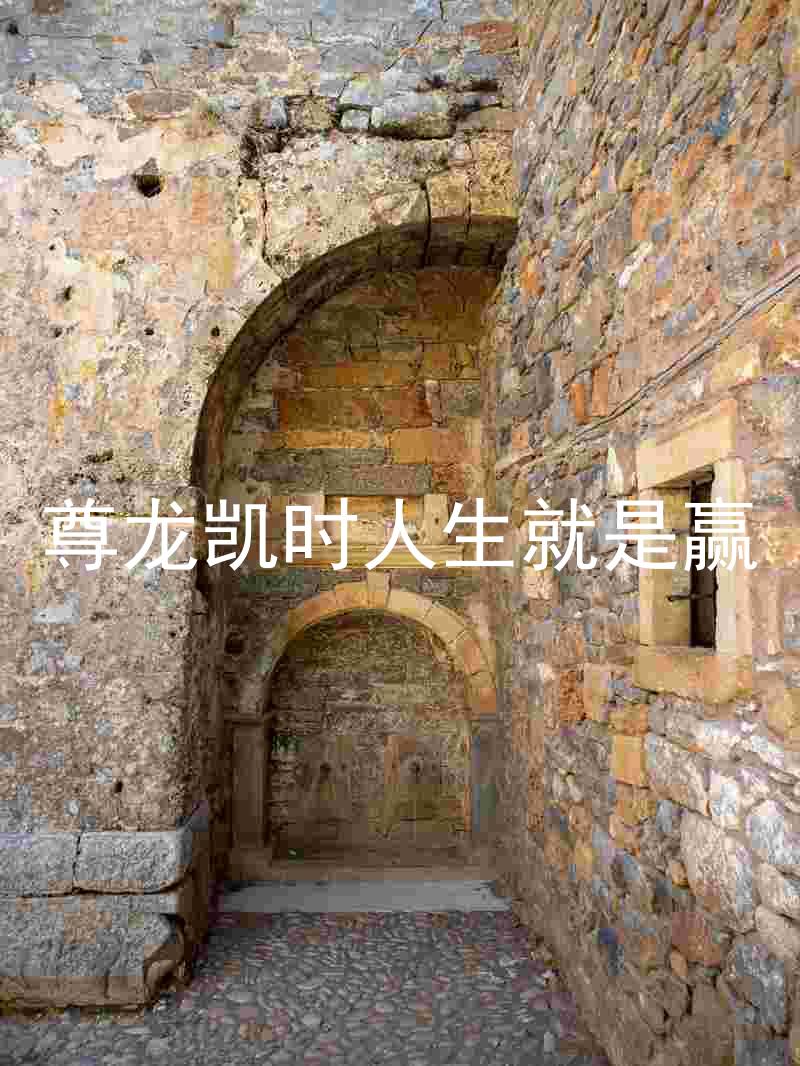 尊龙凯时人生就是赢