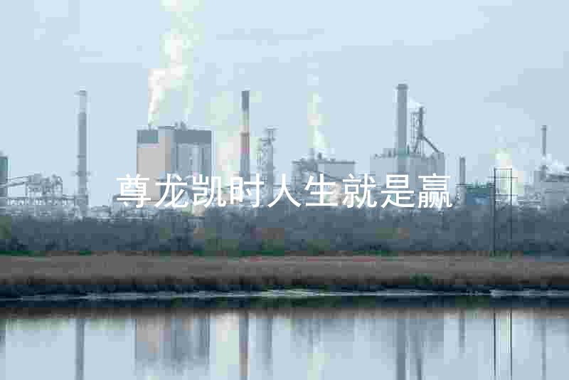 尊龙凯时人生就是赢