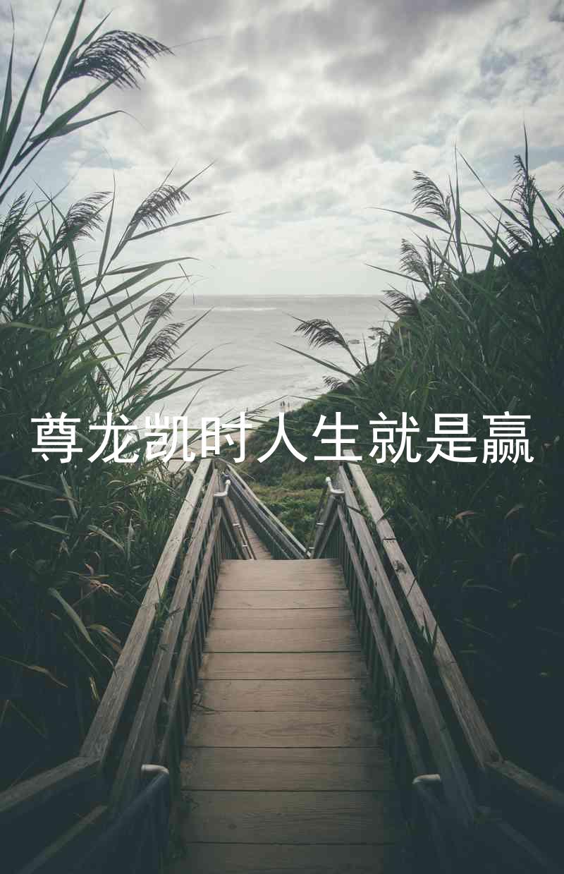 尊龙凯时人生就是赢