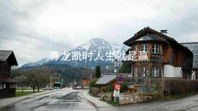尊龙凯时人生就是赢