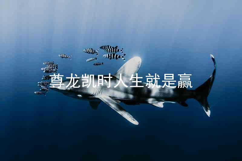 尊龙凯时人生就是赢