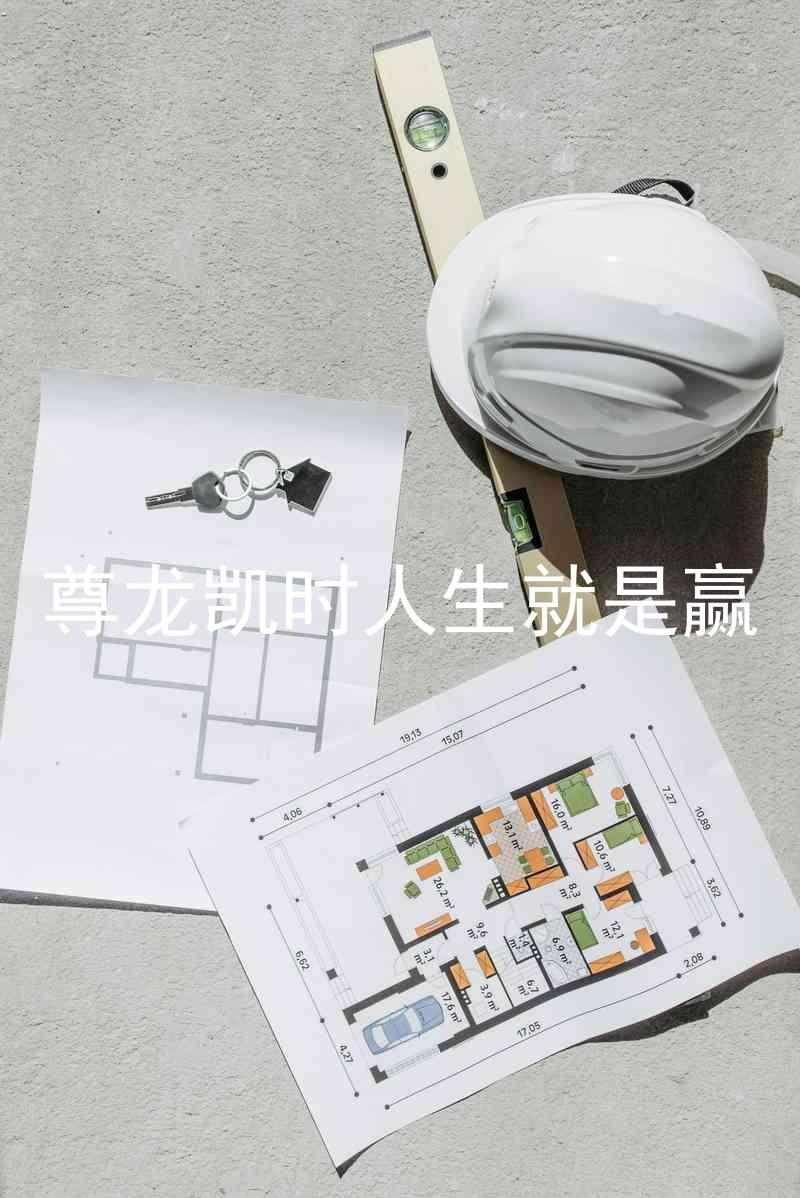 尊龙凯时人生就是赢