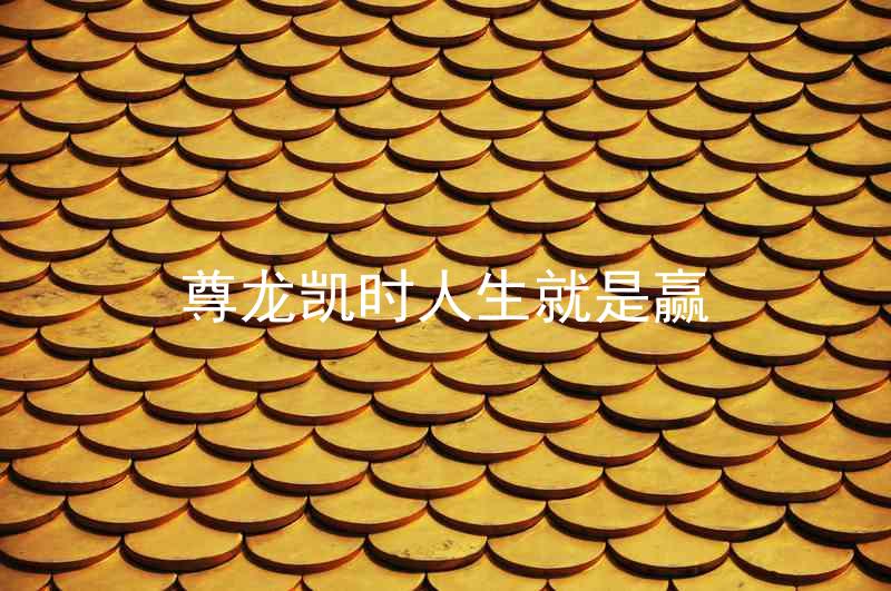 尊龙凯时人生就是赢