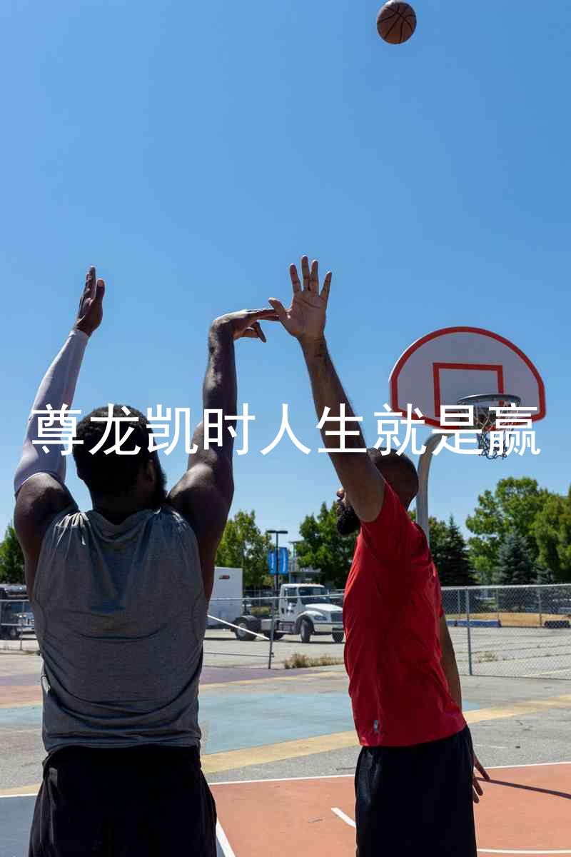 尊龙凯时人生就是赢